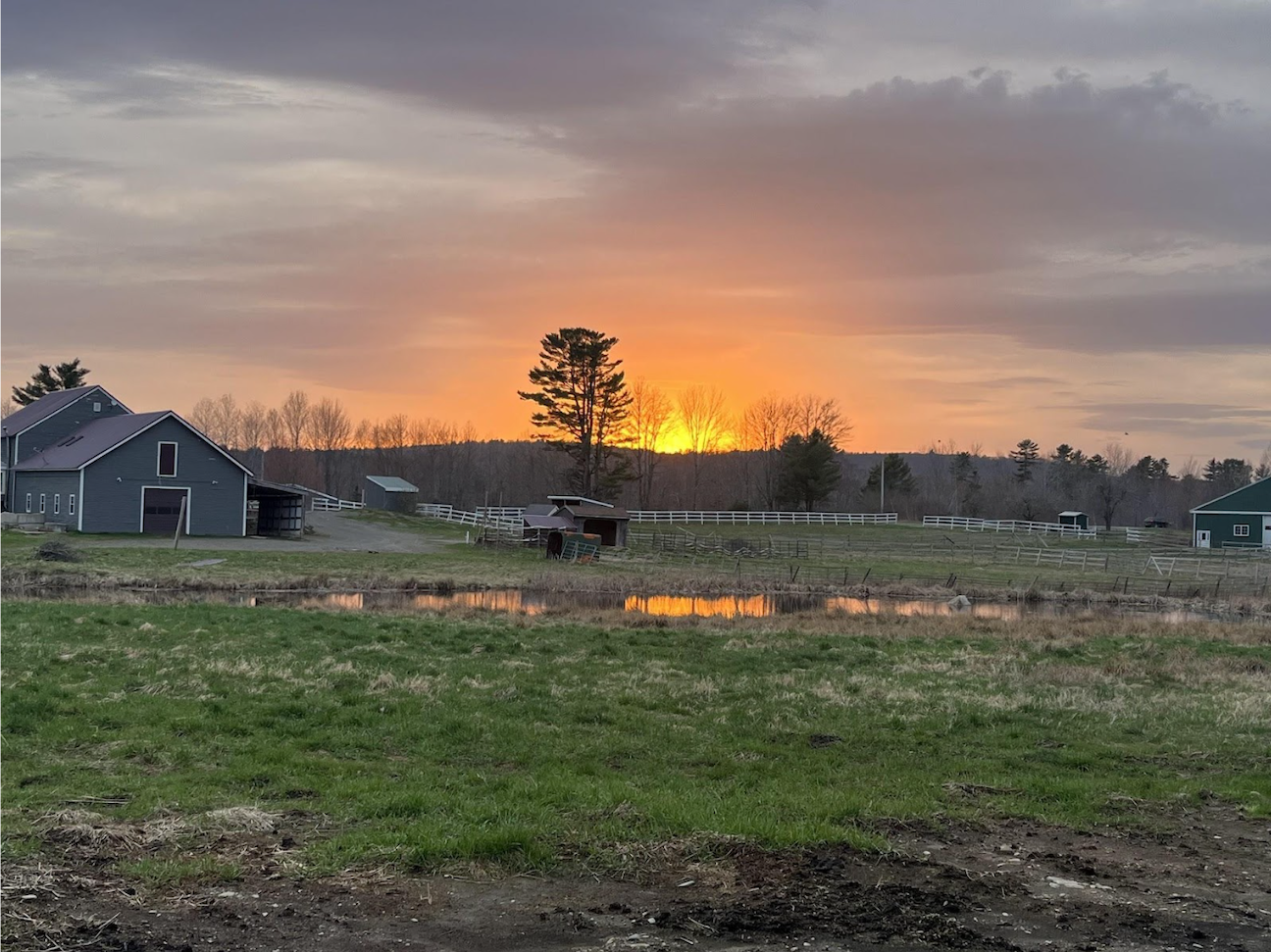 A large green barn sits in the distance past a green field and small pond. The orange sunset is reflecting off the pond and soft grey clouds rise above the sun. There are tree covered hills in the distance and a white fence along the end of the field. 