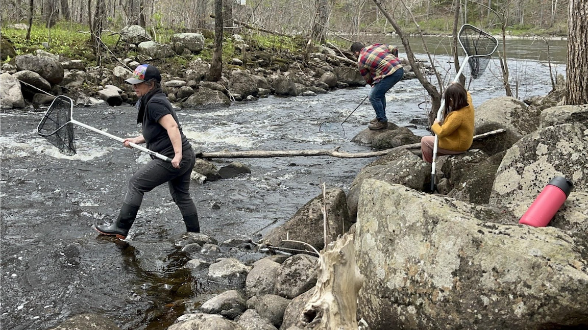 Three people standing near the edge of a small river with large nets. The shores of the river are large rocks and one person is standing on a rock, dipping their net down into the river. 