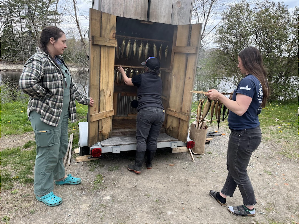 A small shed in front of a calm body of water with open wooden doors shows small fish hanging from cross beams in the shed. Smoke is coming out of the shed. Two people are placing additional beams with fish into the shed while one person holds the door open. 