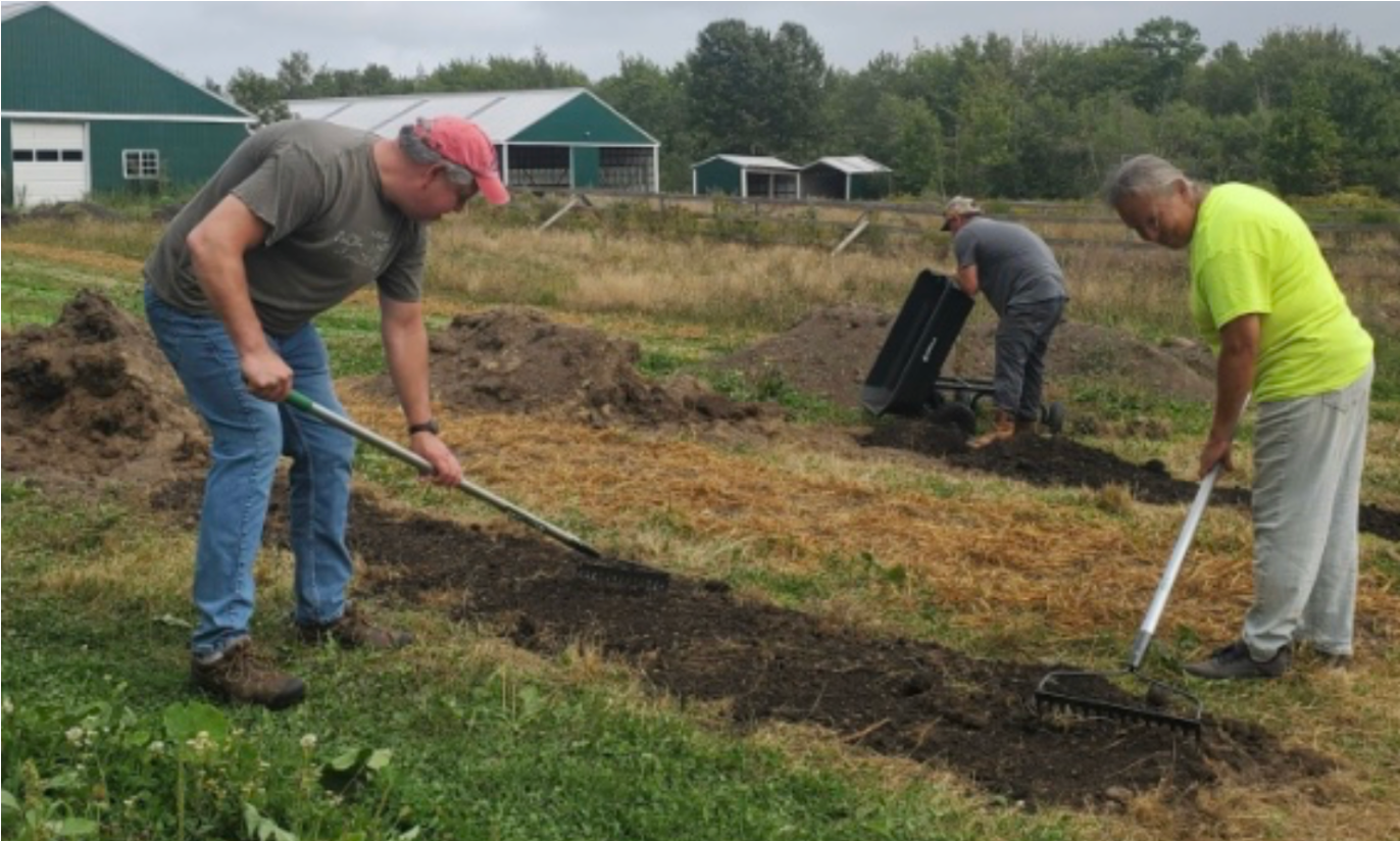 Three people are in a small field on a farm with three green buildings in the background with white roofs. Two people are raking the soil to till it while the third is dumping a wheelbarrow in the background. 
