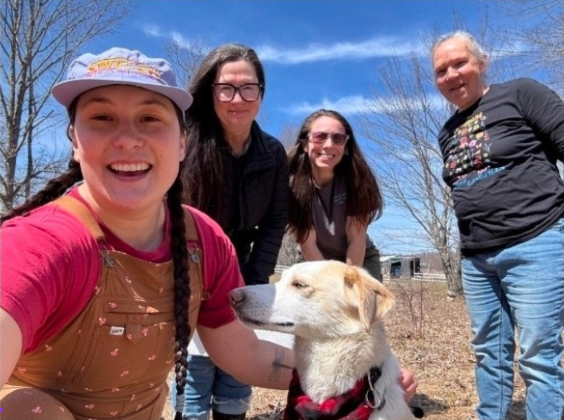 Four smiling people stand in the sun. One closest to the camera has two long brown braids and is wearing a purple hat, two have longer brown hair with glasses, and the last has grey hair that is pulled back. There is also a yellow dog in the foreground.  
